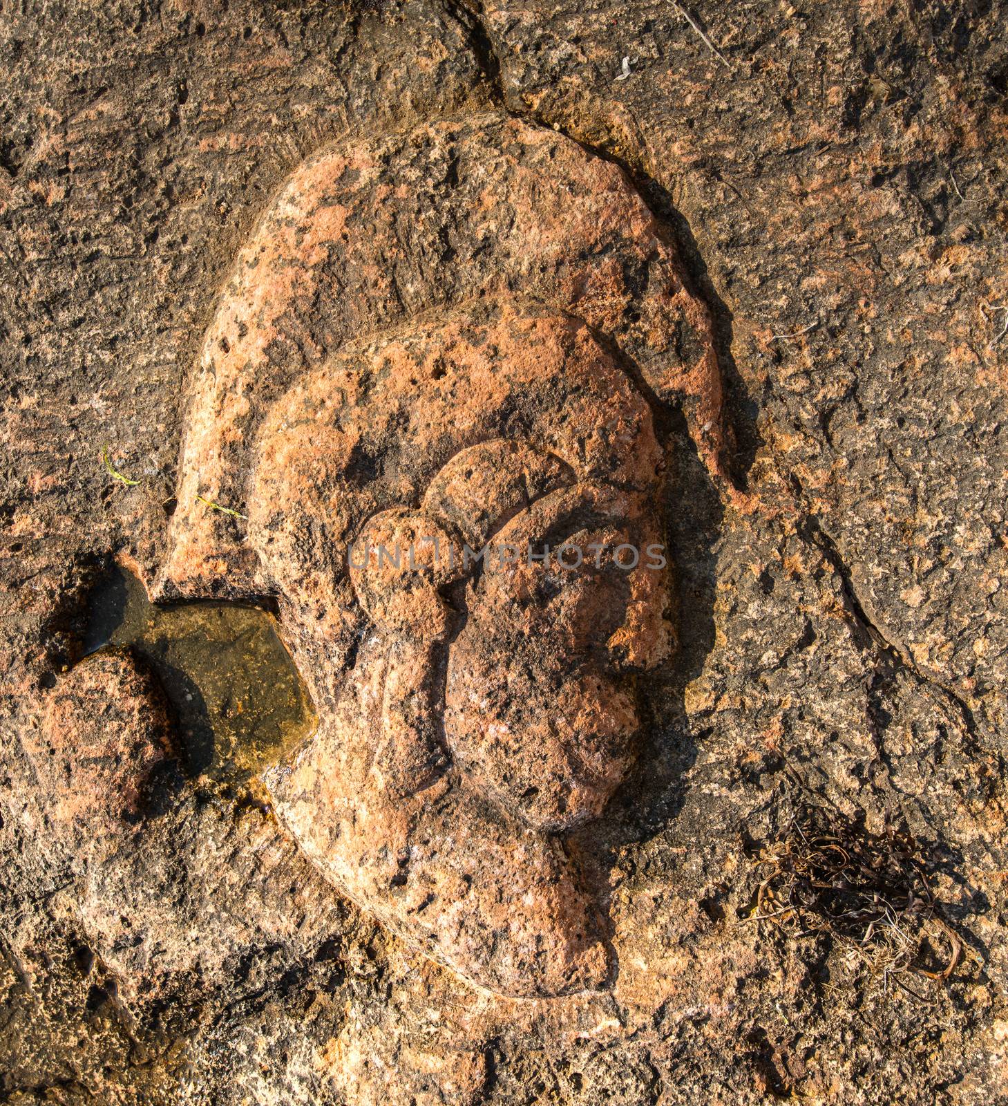 Rock carvings on the beach (head of the Roman legionary) near Sevastopol (Crimea), Ukraine, May 2013