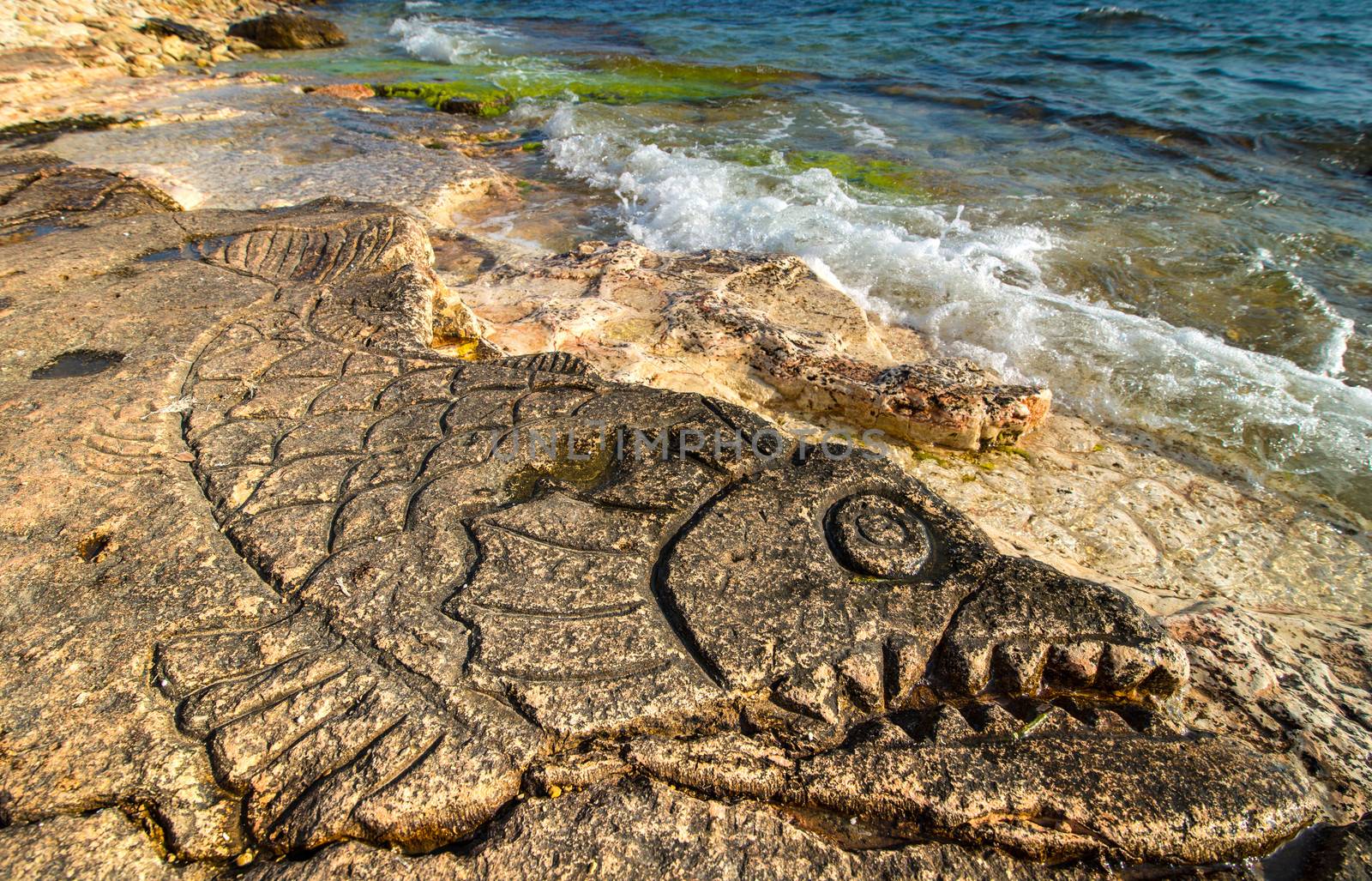 Rock carvings on the beach (big fish head) near Sevastopol (Crimea), Ukraine, May 2013