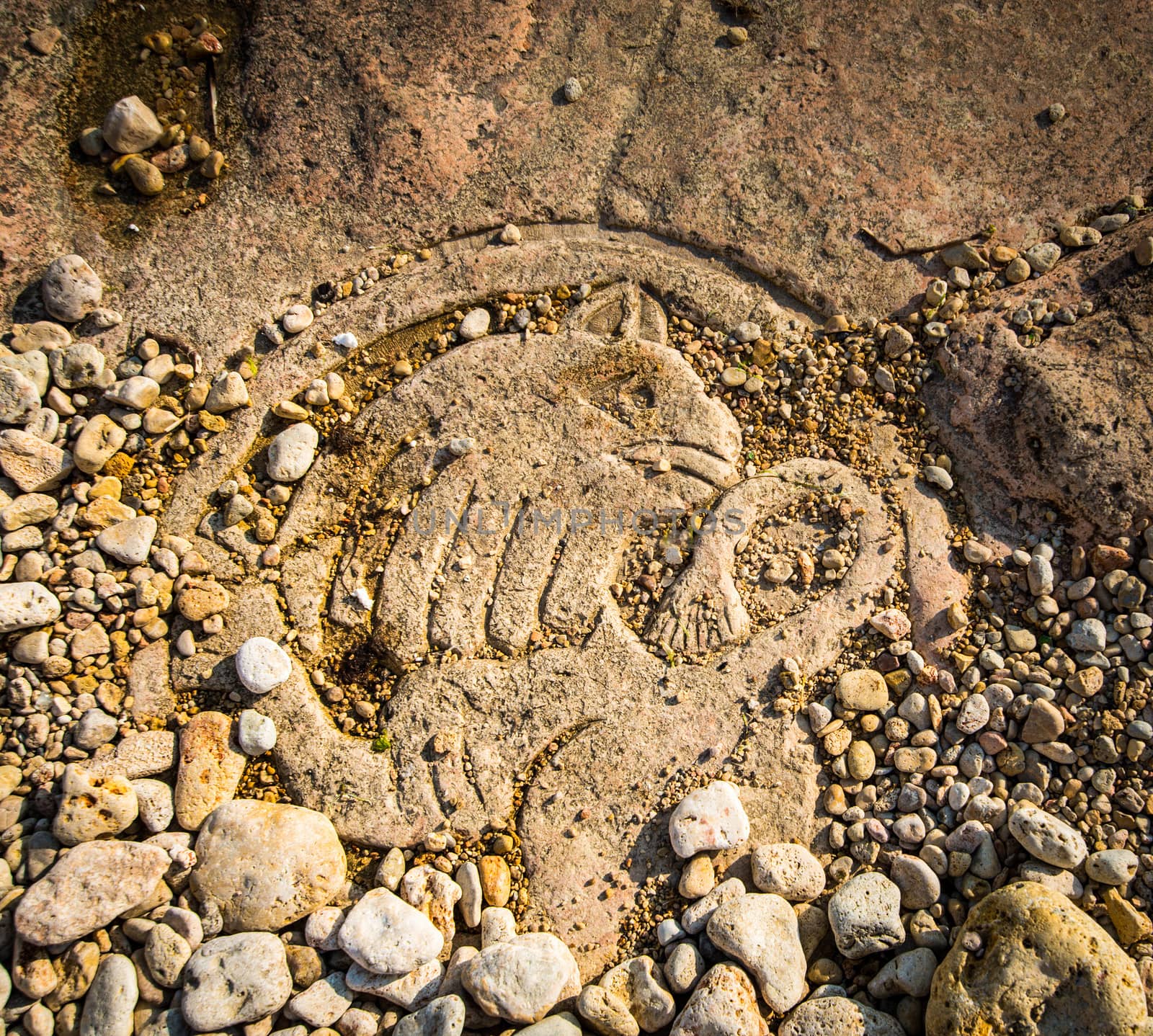 Rock carvings on the beach (animal with a lion's body) near Sevastopol (Crimea), Ukraine, May 2013
