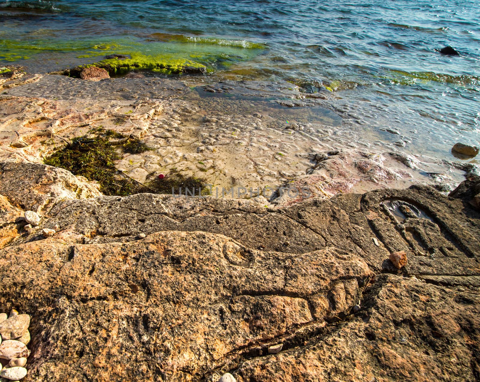 Rock carvings on the beach (dog head) near Sevastopol (Crimea), Ukraine, May 2013