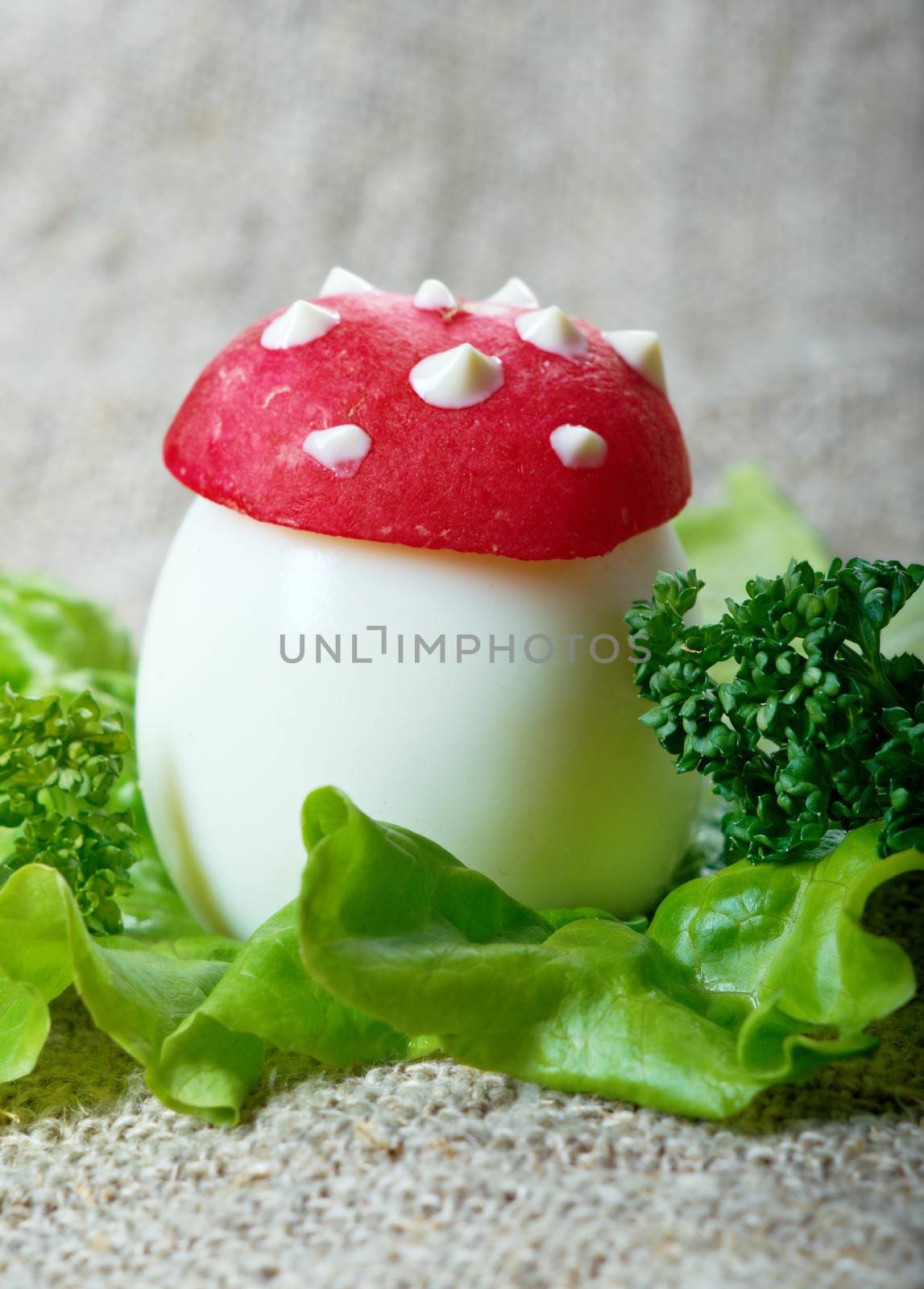 breakfast for child. mushrooms made from boiled egg ,small radish