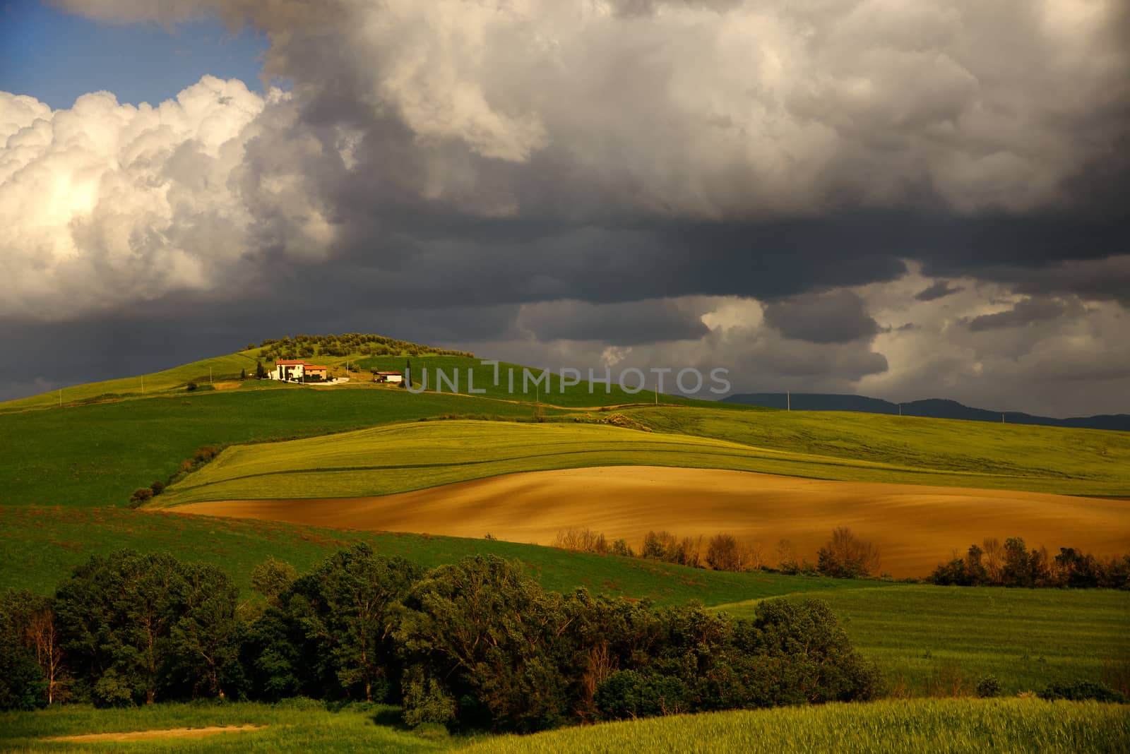 View over the hills of Tuscany in Val d'orcia