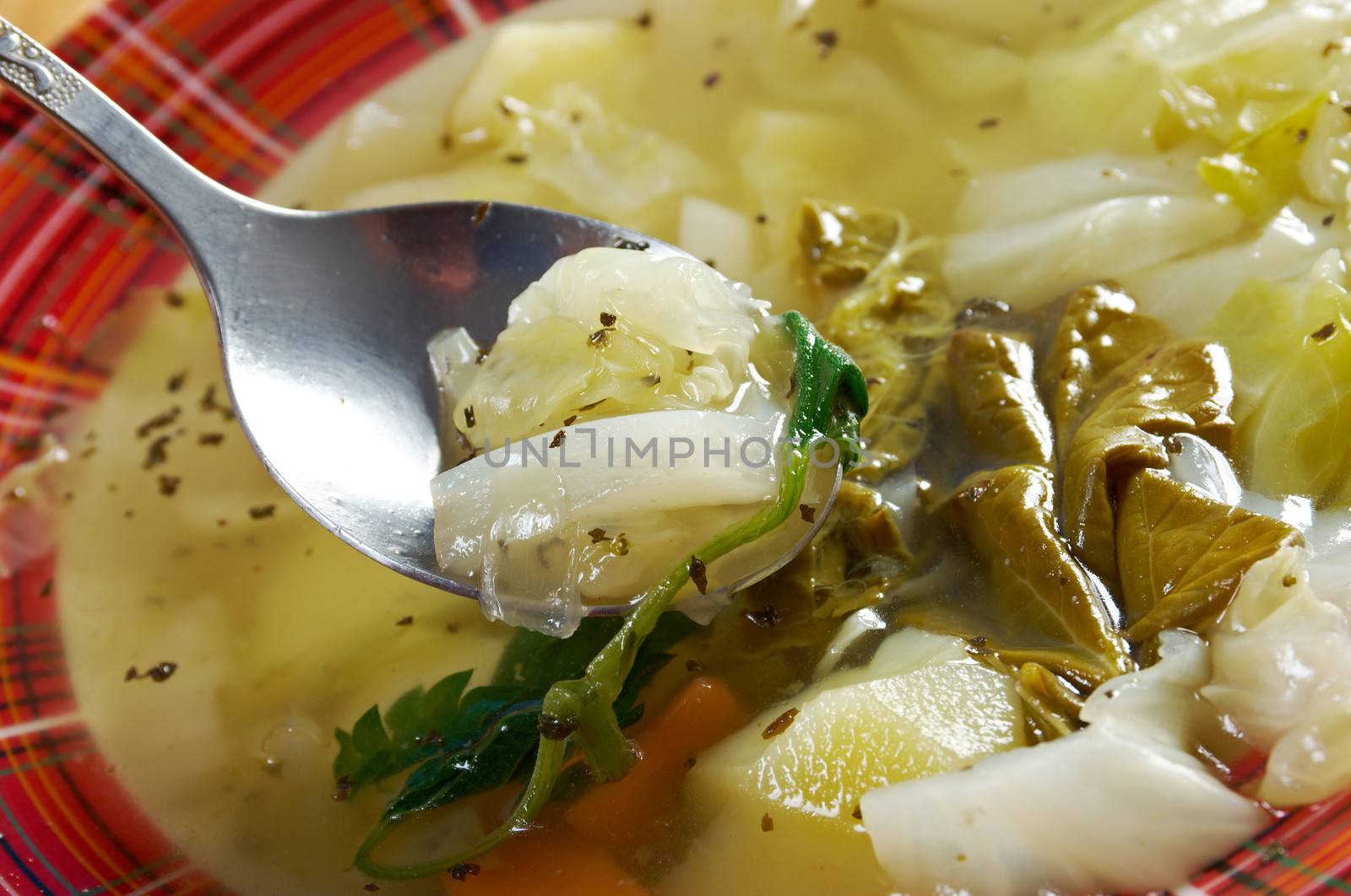  Russian national cabbage soup - Green sorrel   stchi  with nettles and rhubarb