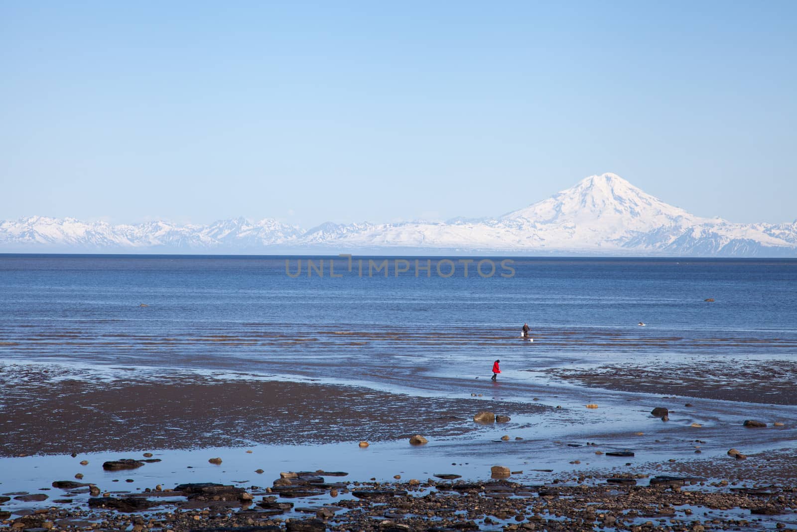 Two clammers stand waiting for low tide beneath a large mountain