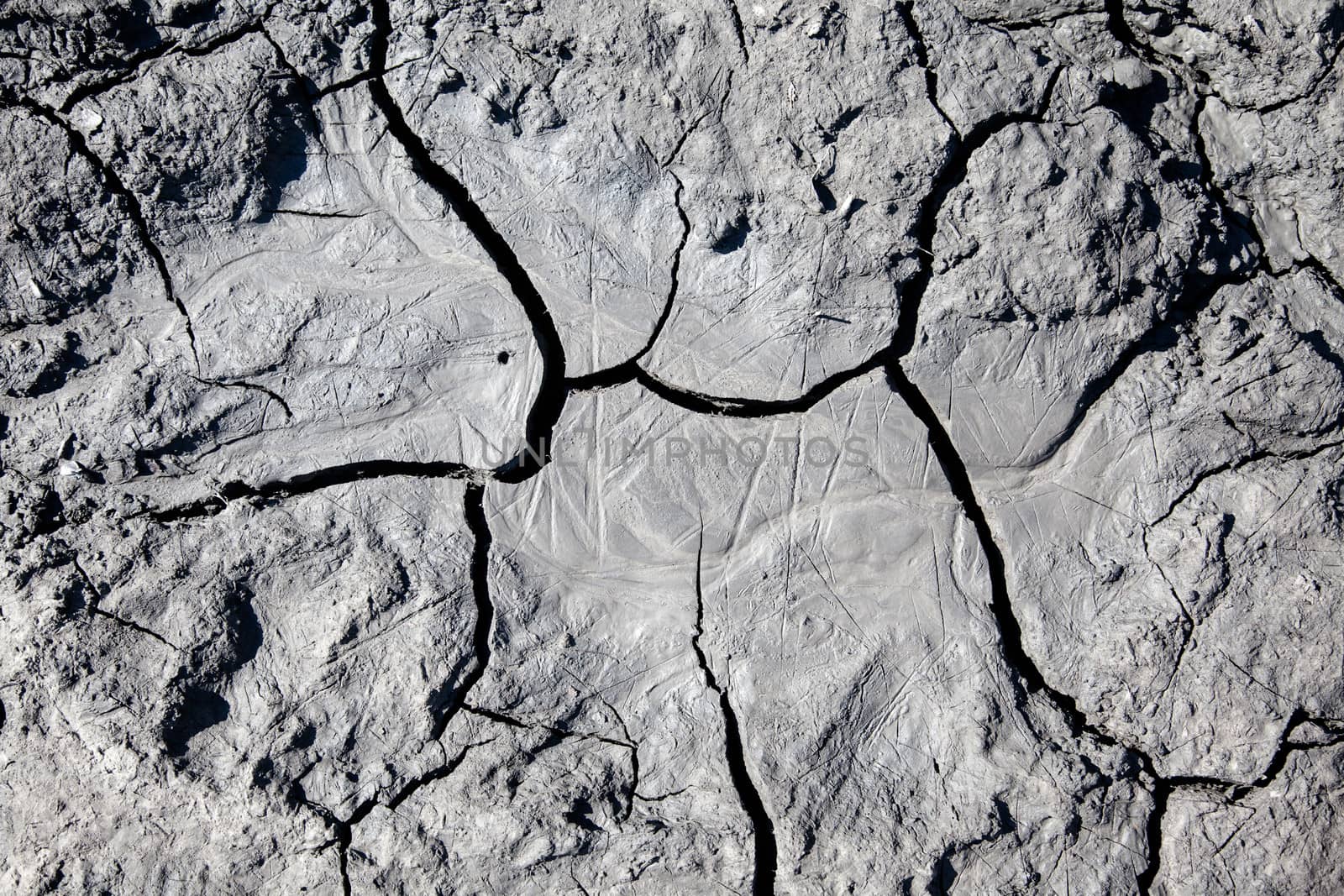 Silty clay cracks and dries in an abstract pattern