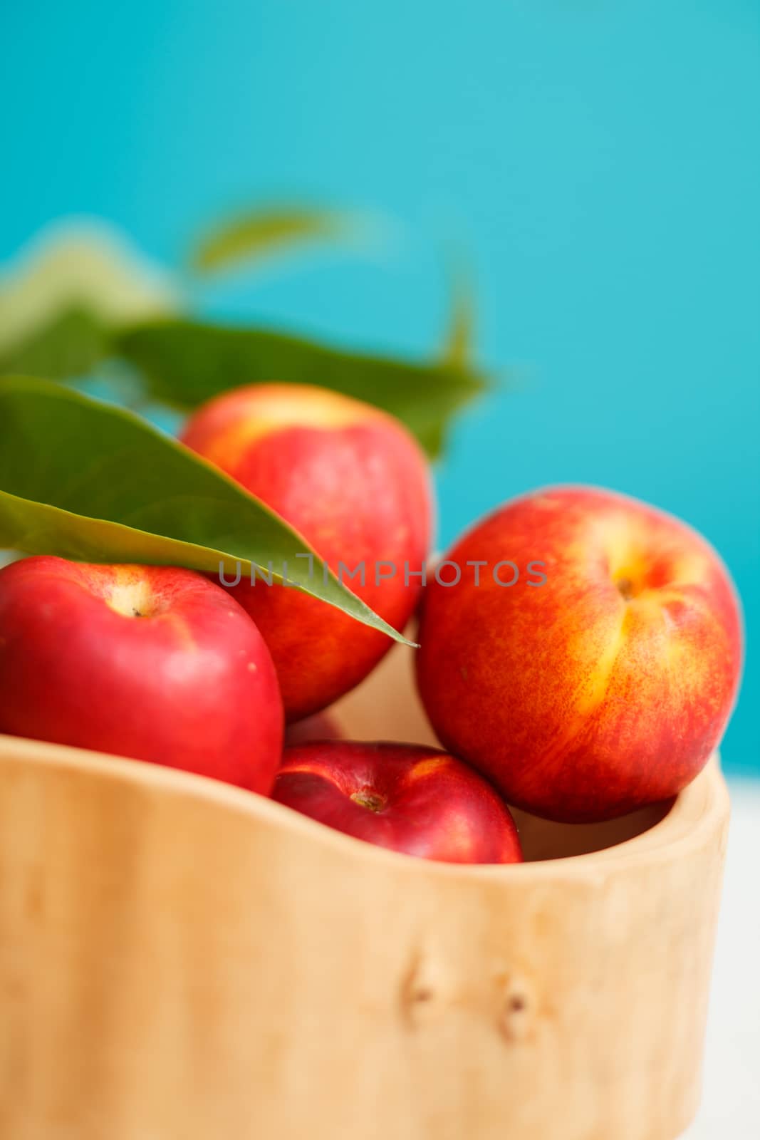 fresh nectarines