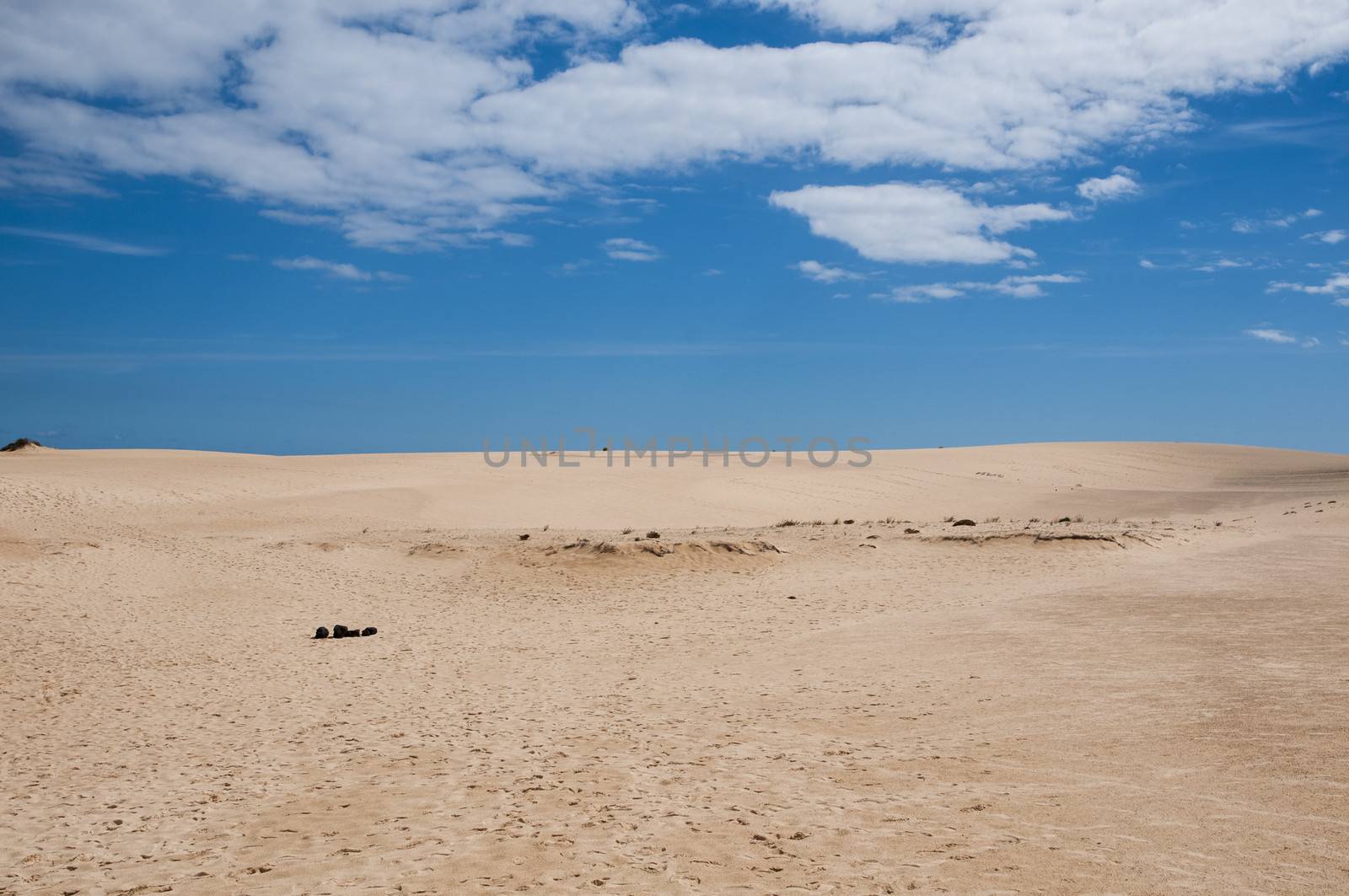 Fuerteventura dunes which shows that it's like being in a desert