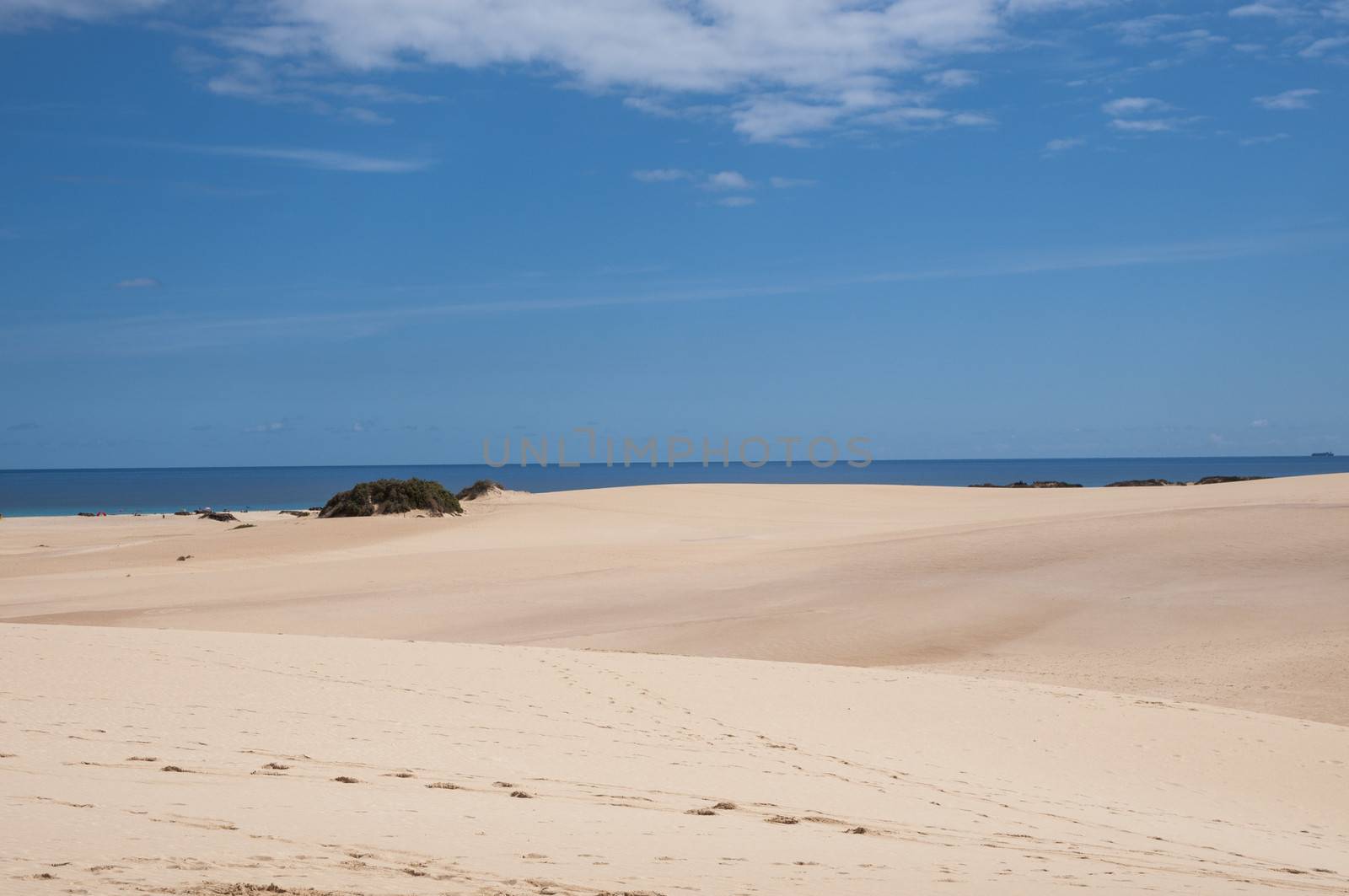 Fuerteventura dunes which shows that it's like being in a desert