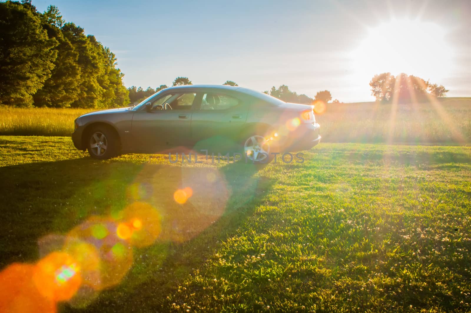 spring field and   car on country road