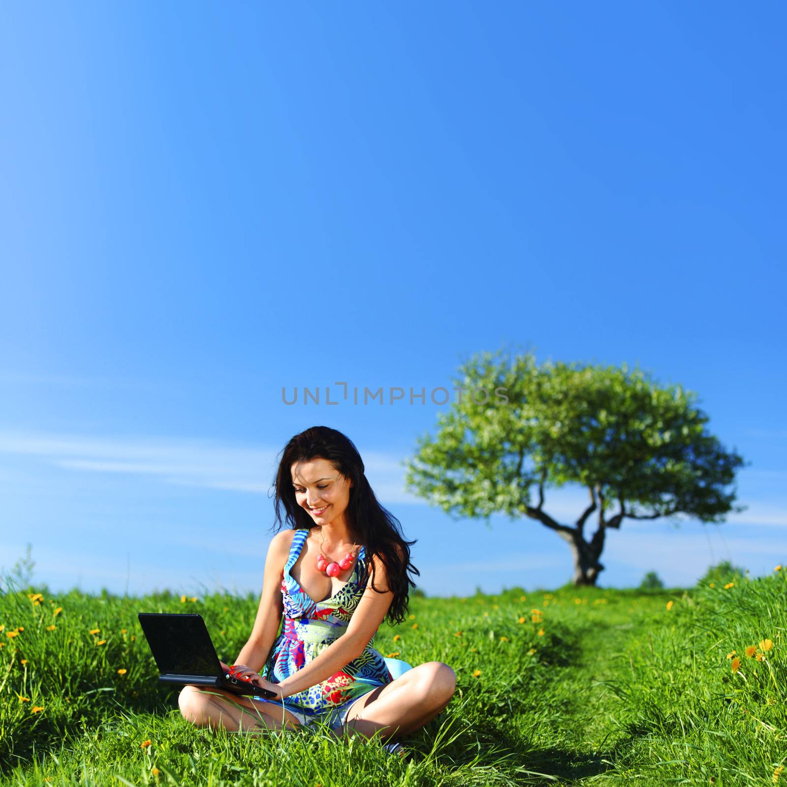 laptop work in field by Yellowj
