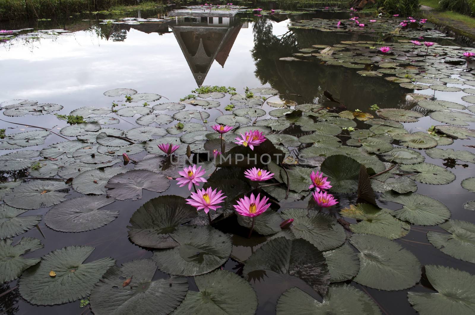 Mirror Reflexion. Samosir Island  Lake Toba  North Sumatra  Indonesia.