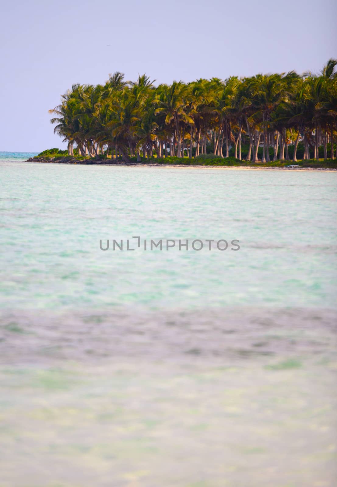 Tropical island in the Bahamas