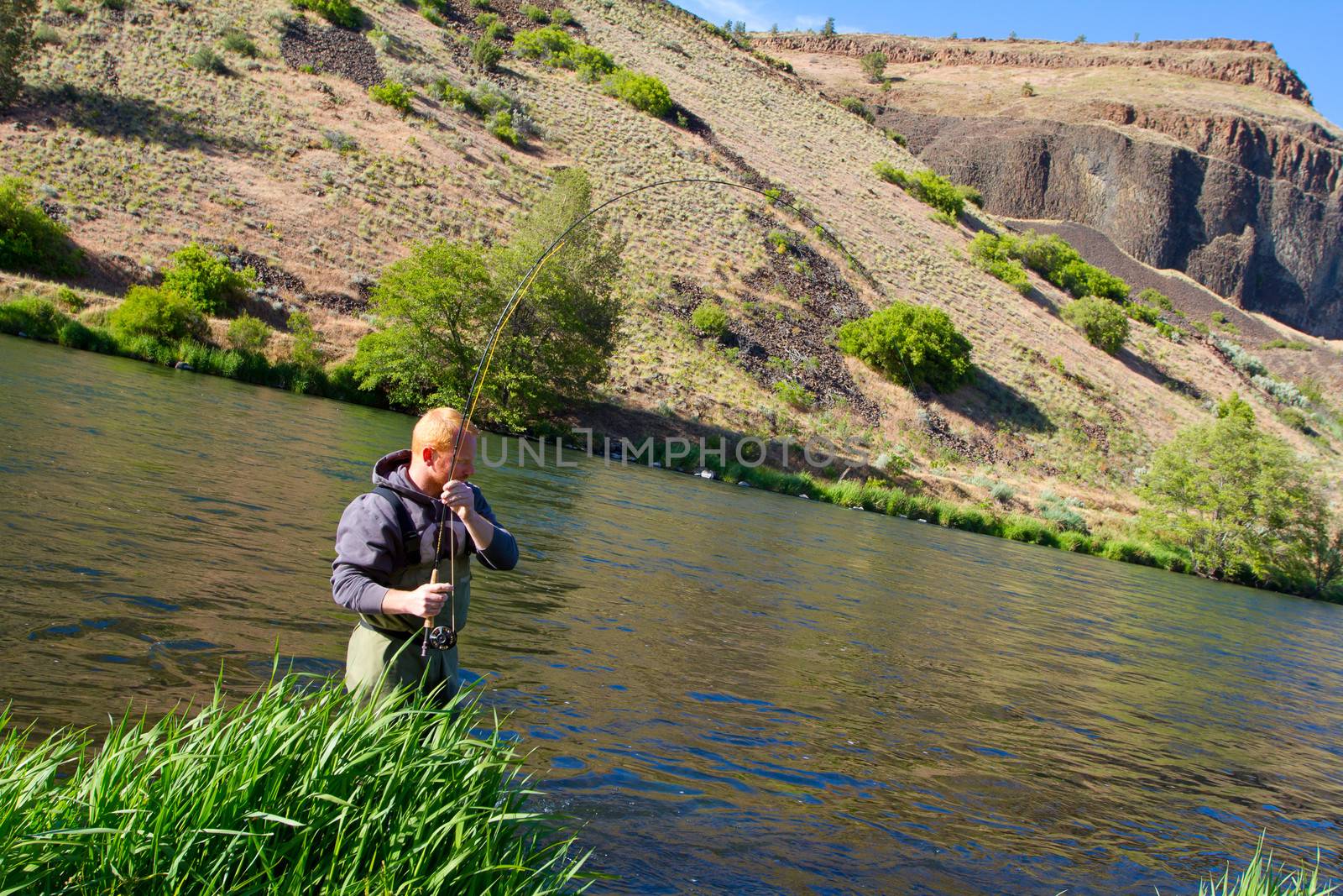 An experienced fly fisherman wades in the water while fly fishing the Deschutes River in Oregon.