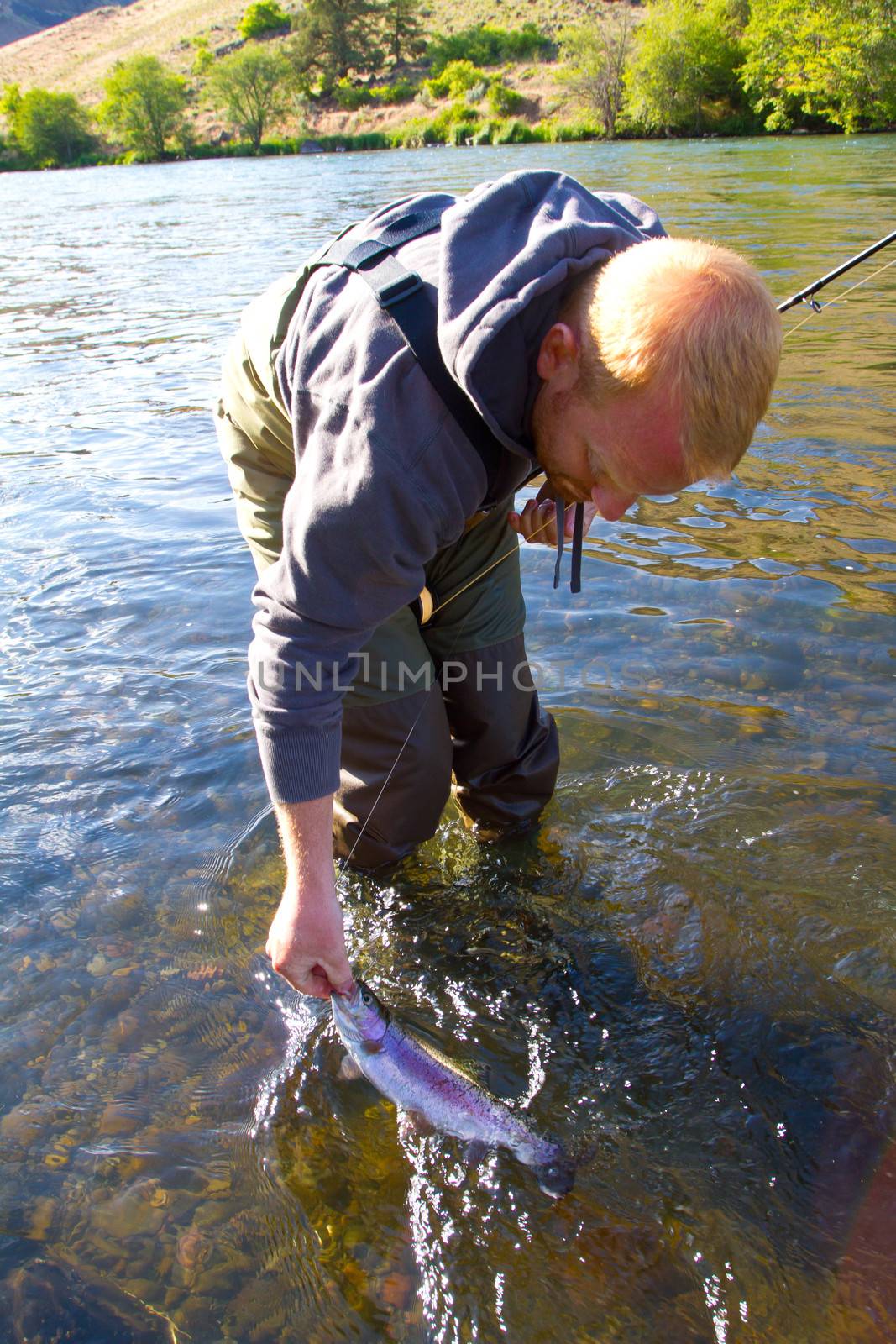 Rainbow Trout Catch Release by joshuaraineyphotography