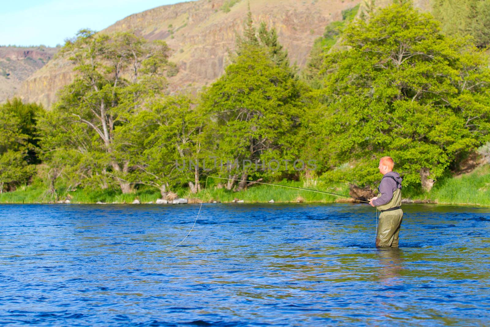 An experienced fly fisherman wades in the water while fly fishing the Deschutes River in Oregon.