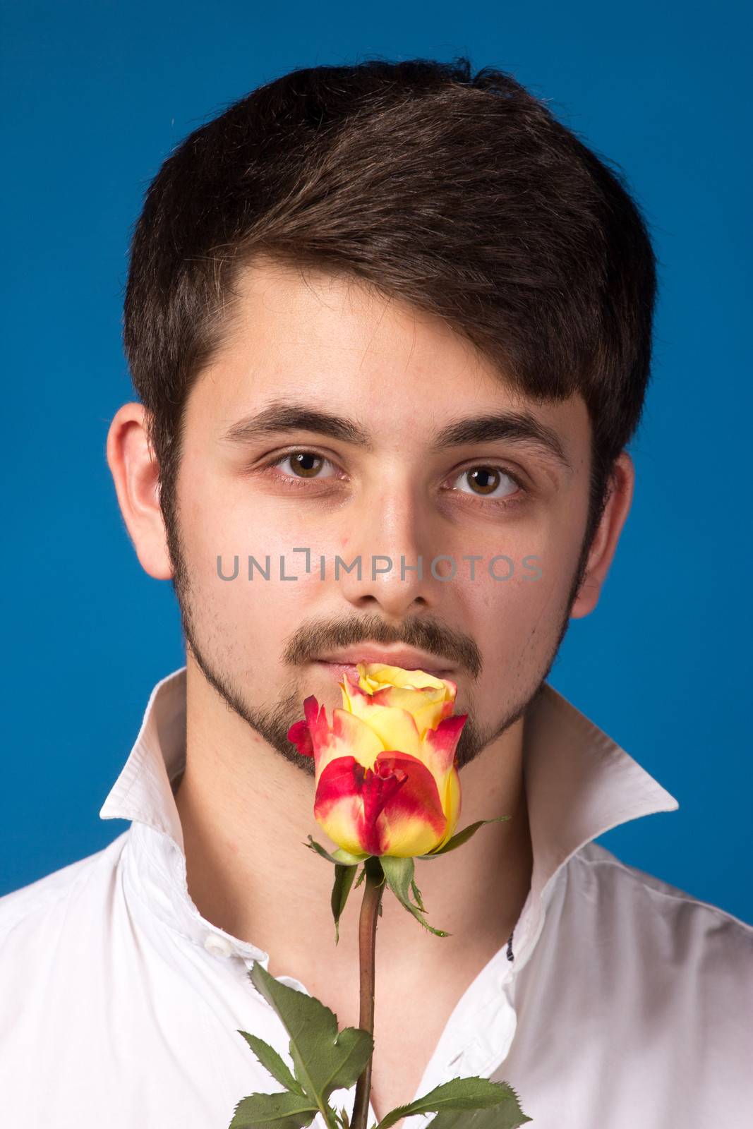 Man giving the red roses, on blue background.  Close up portrait.