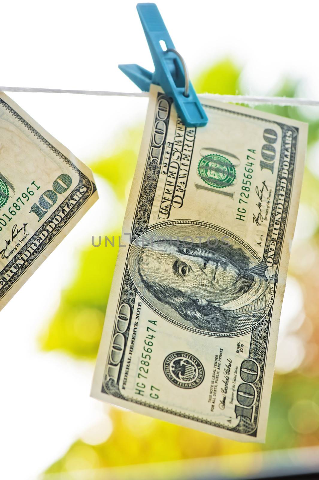 Dollar is hanging on the clothesline by kosmsos111