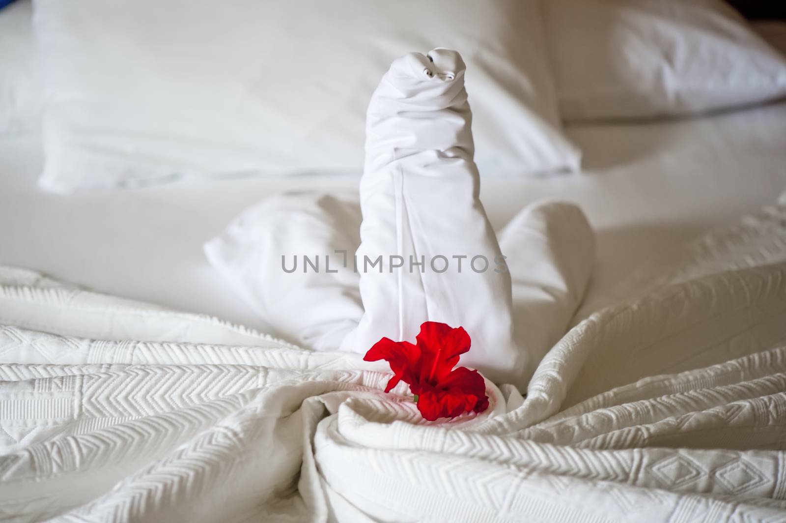 The composition of the swan on the bed linen