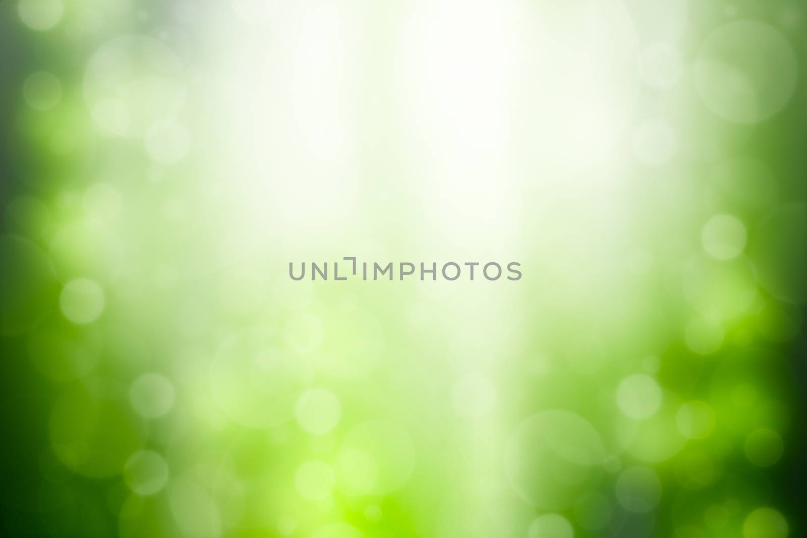 Green abstract background with bokeh and sun rays