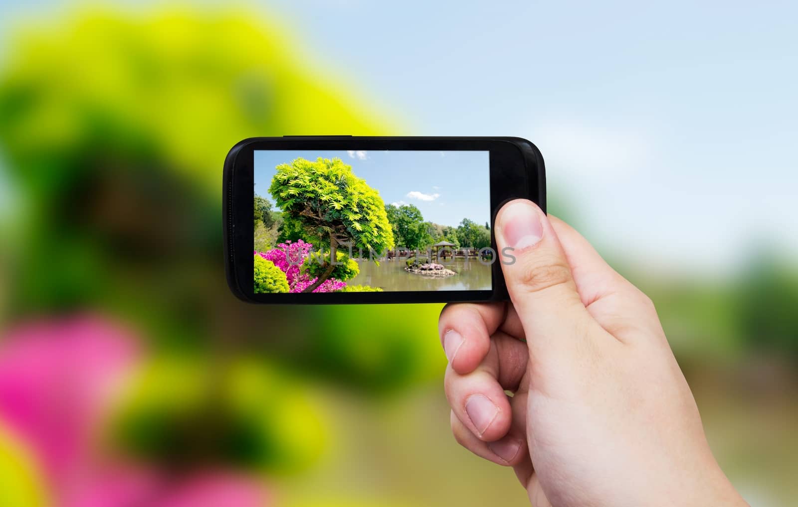 Smart phone with japanese garden view on display