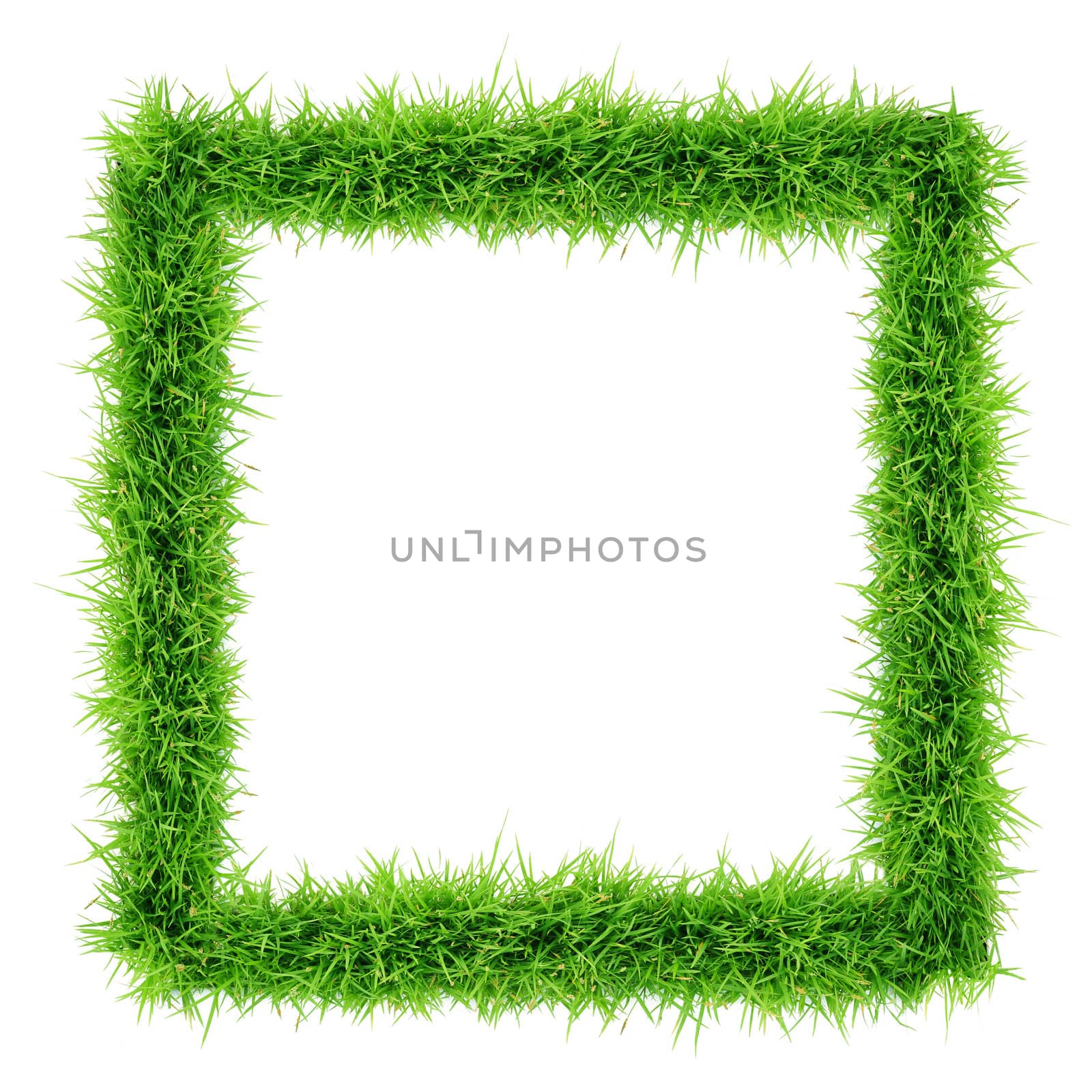 grass frame top view on white background