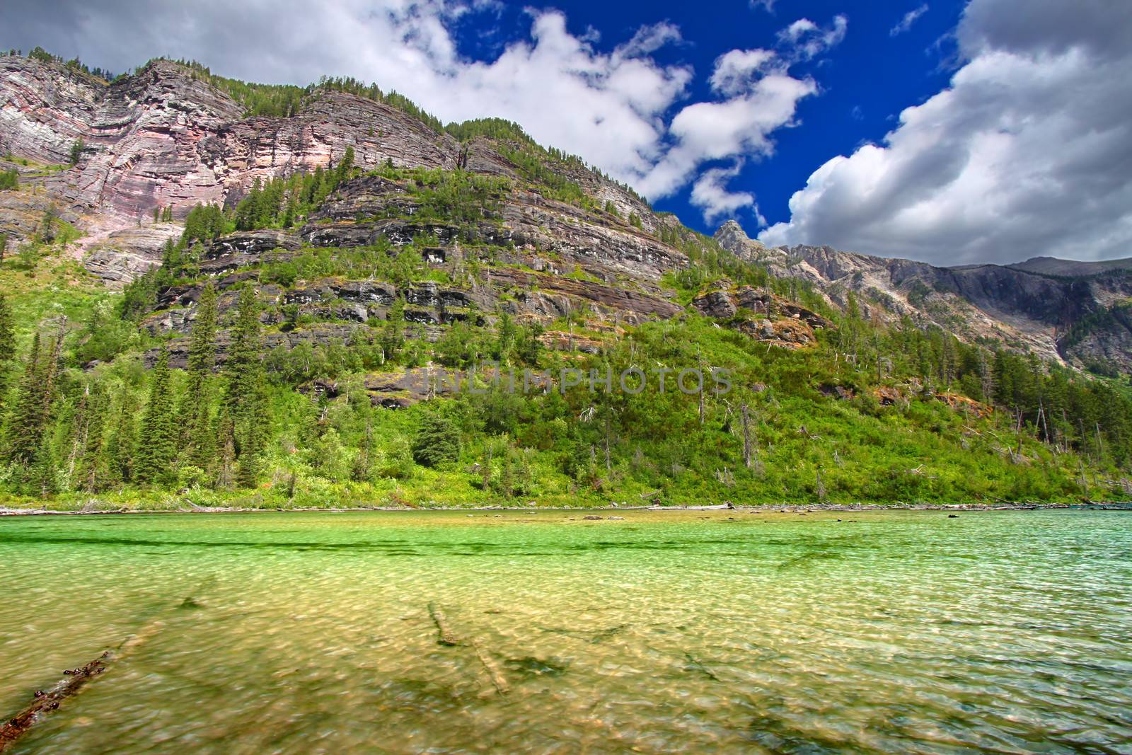 Avalanche Lake in Glacier National Park of Montana.