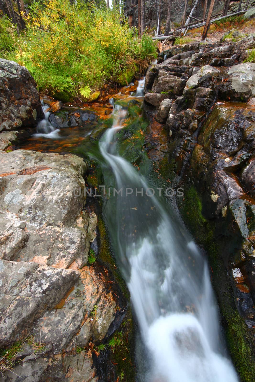 National Forest Creek Cascade by Wirepec