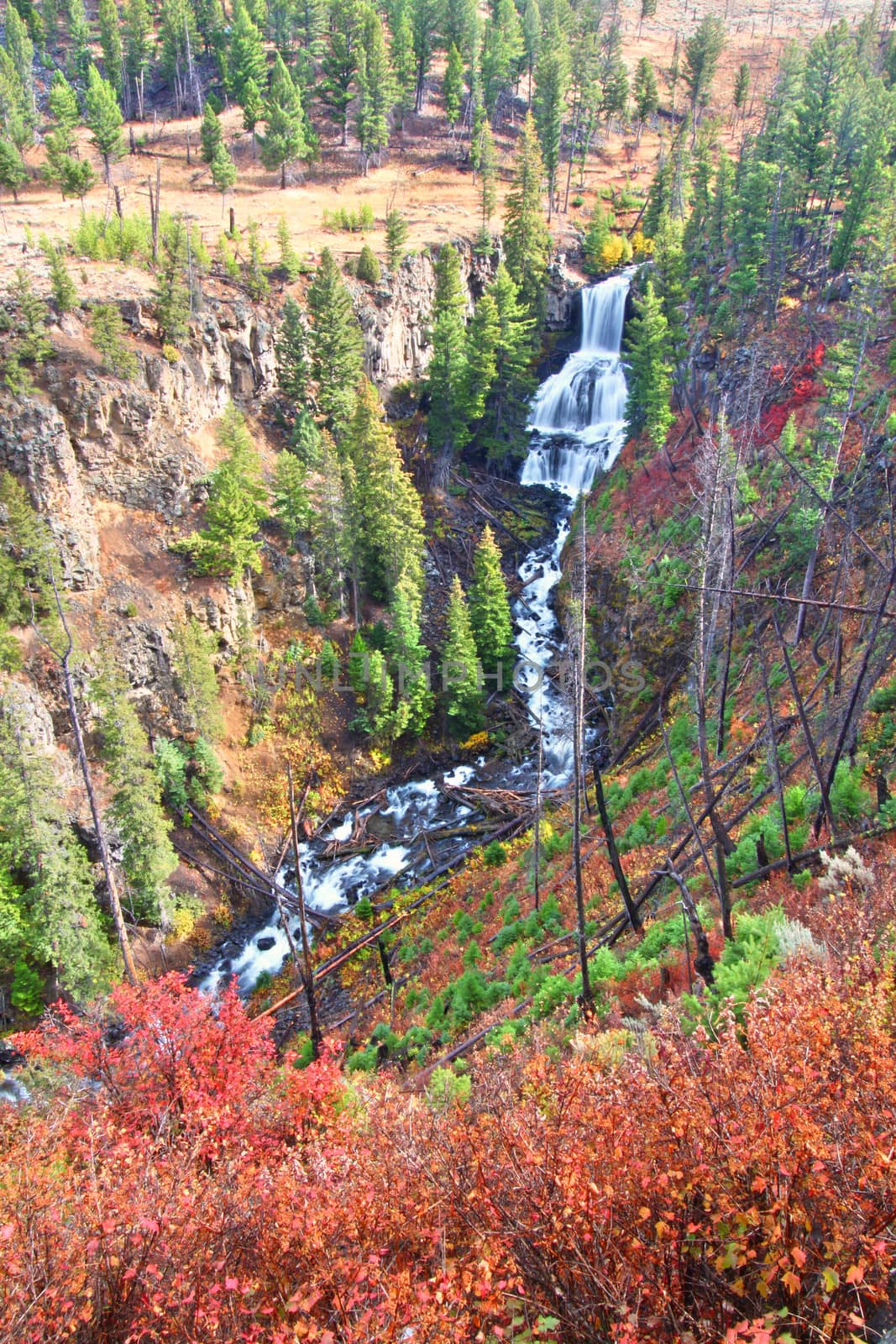 Undine Falls Yellowstone National Park by Wirepec