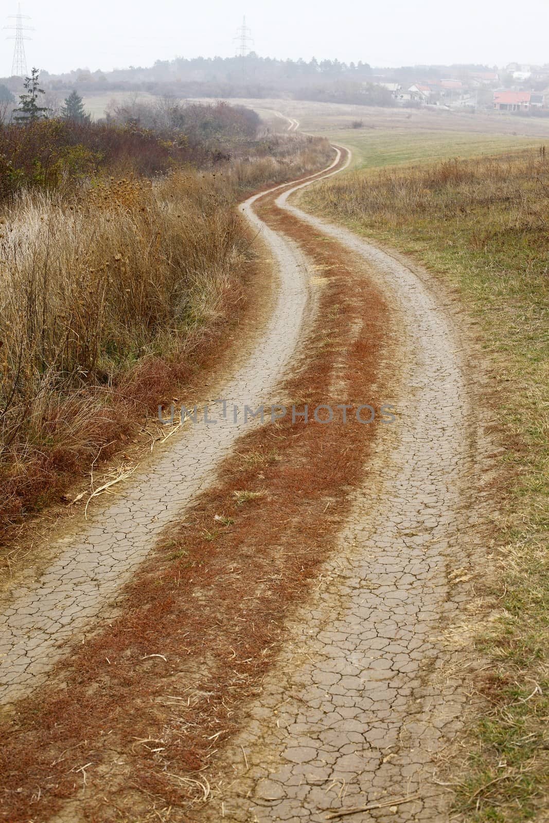 Dirtroad crossing the countryside