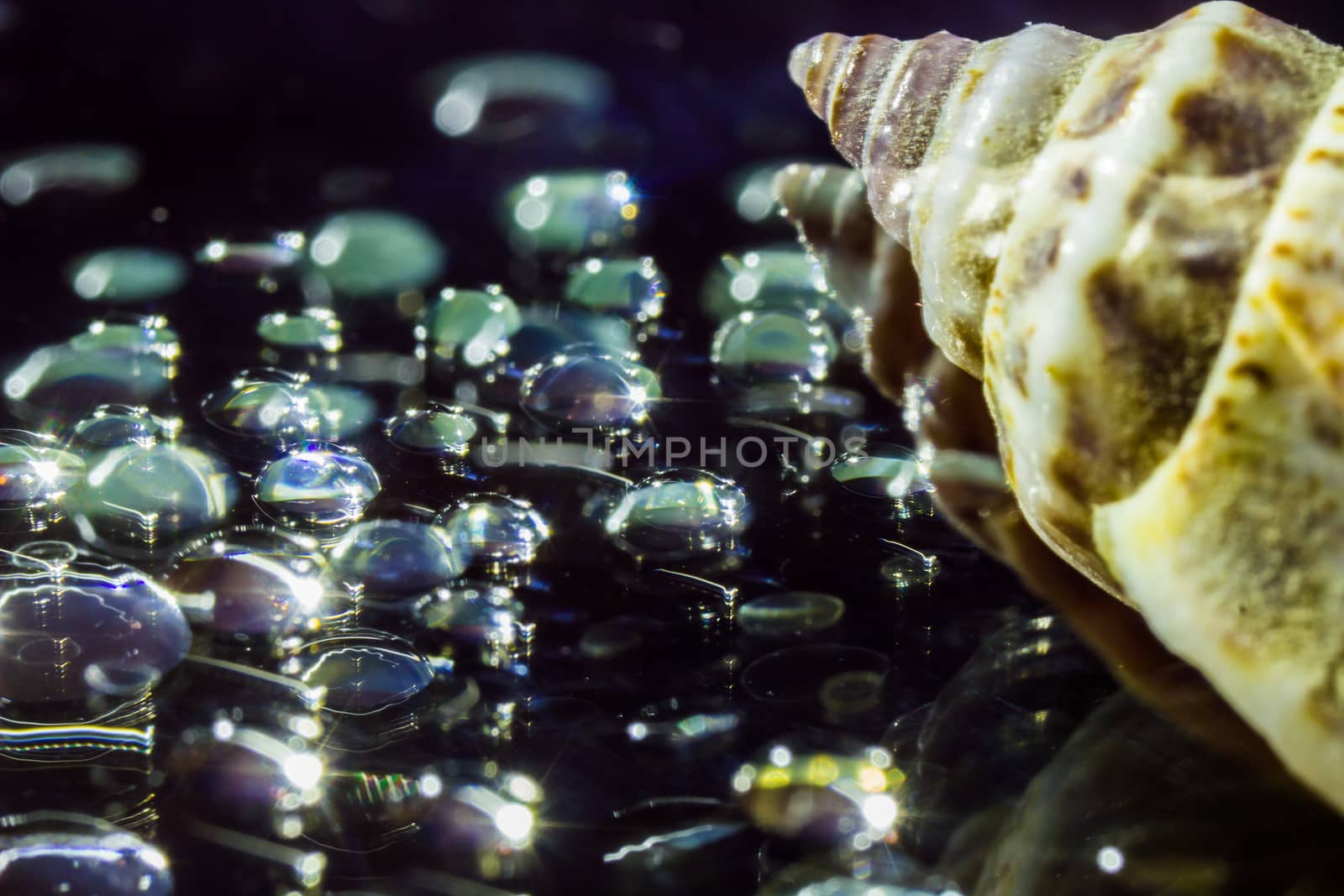 Abstract Waterdrops Closeup Background