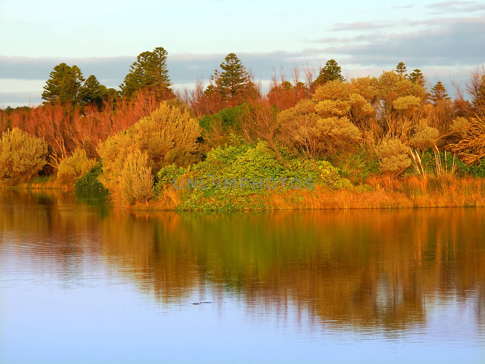 Lake Pertobe Warrnambool Australia by Wirepec