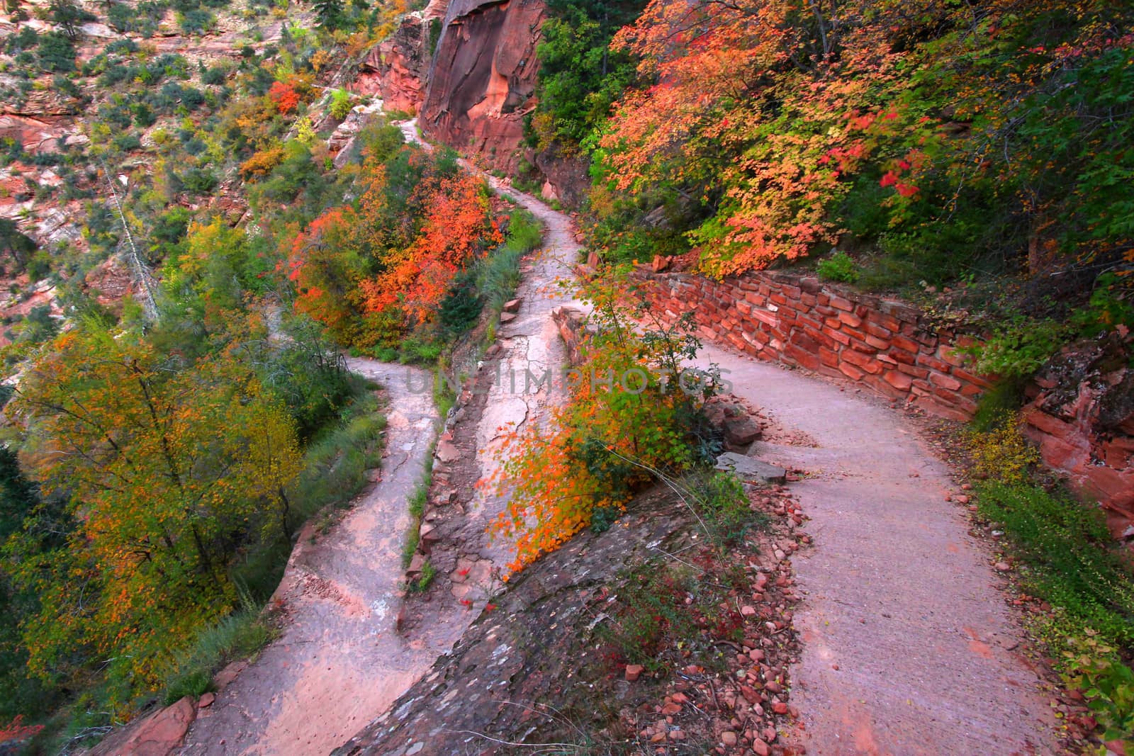 The Hidden Canyon Trail of Zion National Park is a series of exposed switchbacks winding high above Zion Canyon.