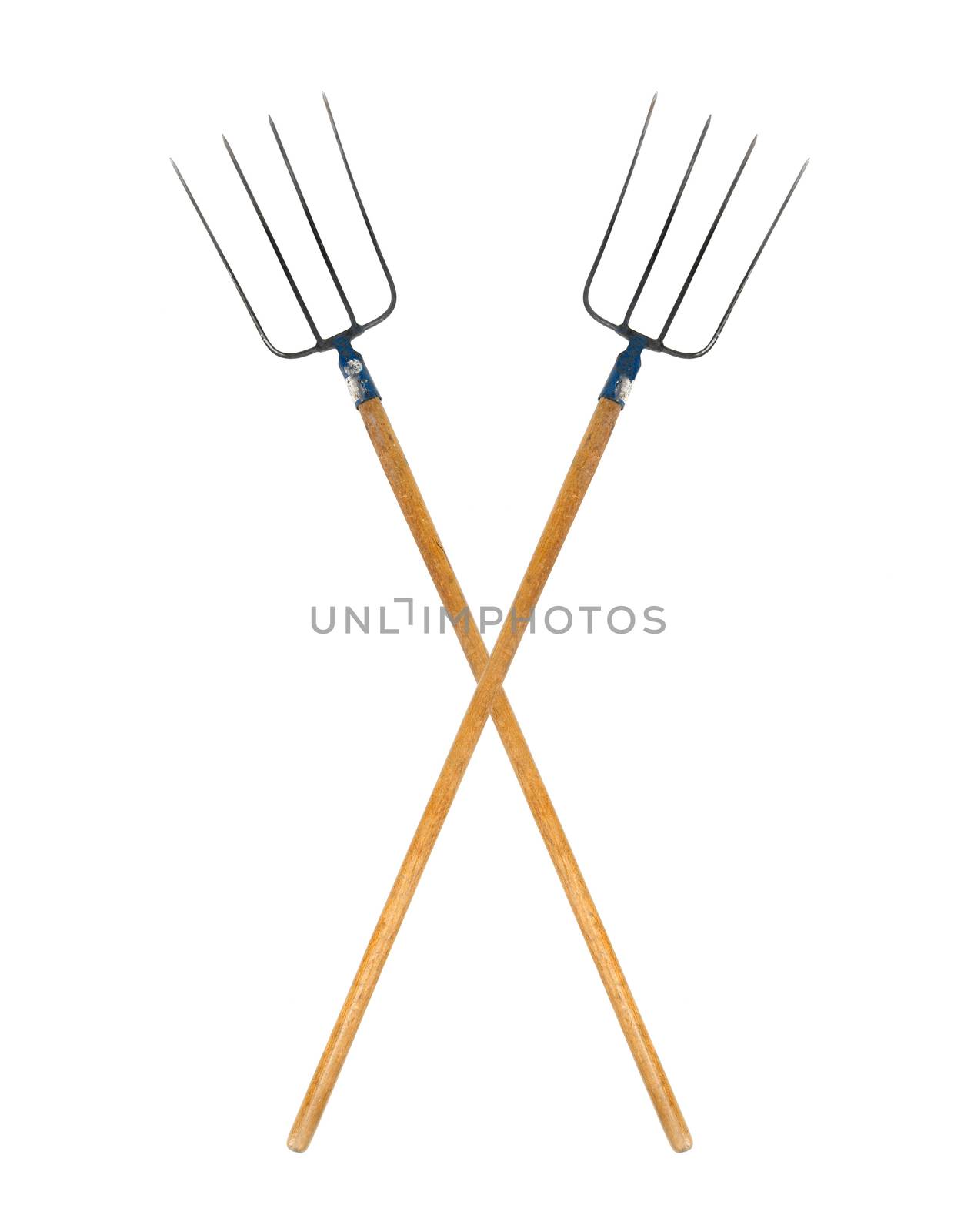 Pitchforks isolated on white background