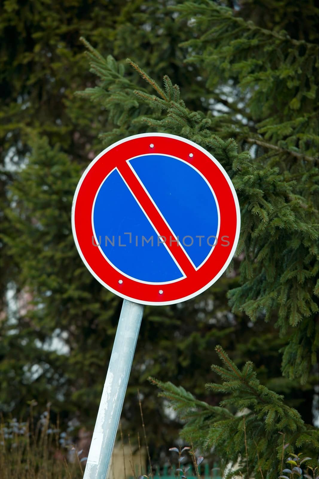 No parking traffic sign in front of trees
