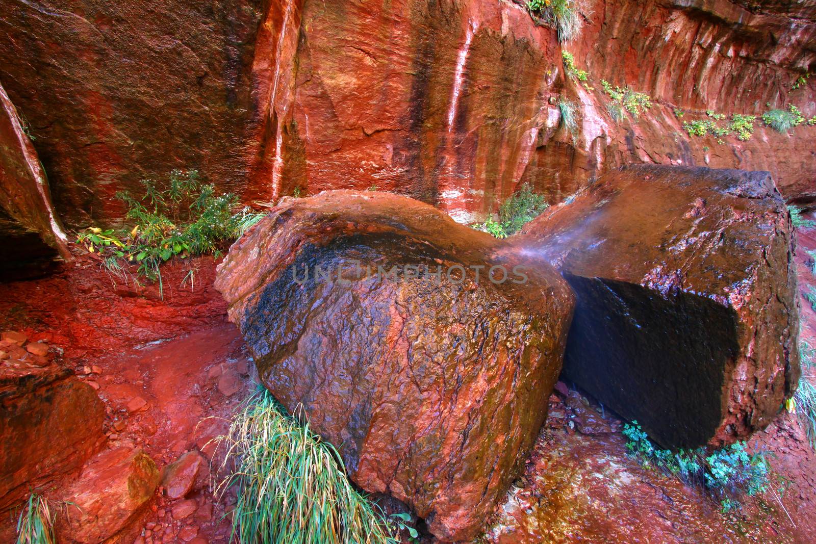 Vivid red rocks along the Emerald Pool Trail of Zion National Park.