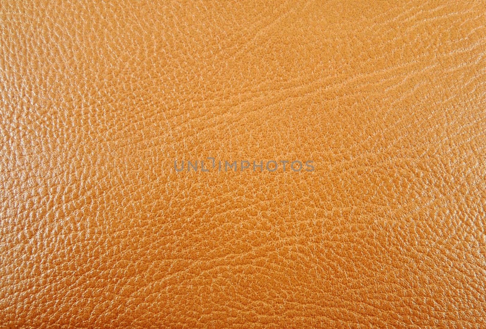 Animal skin texture