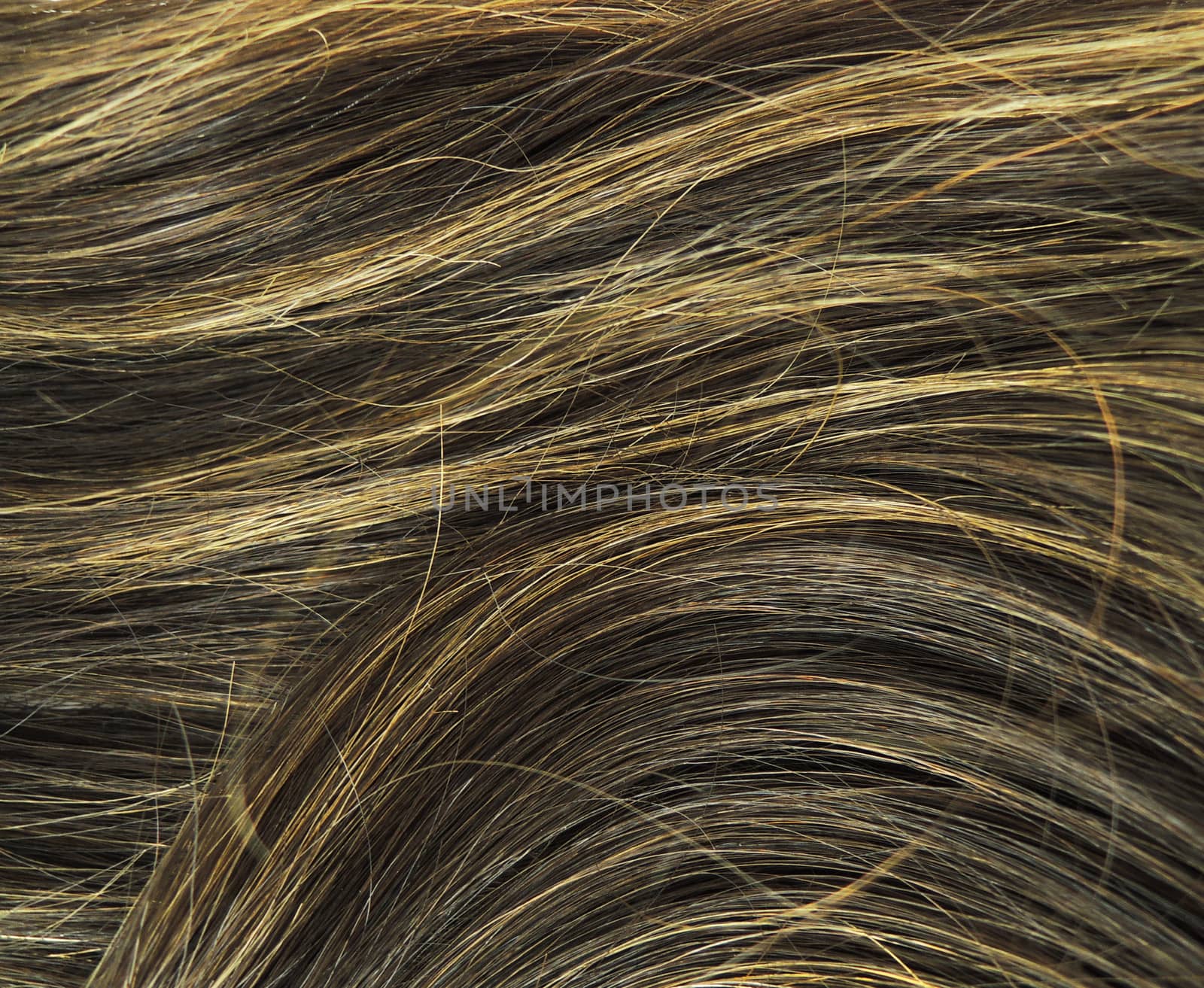 Brown woman hair texture