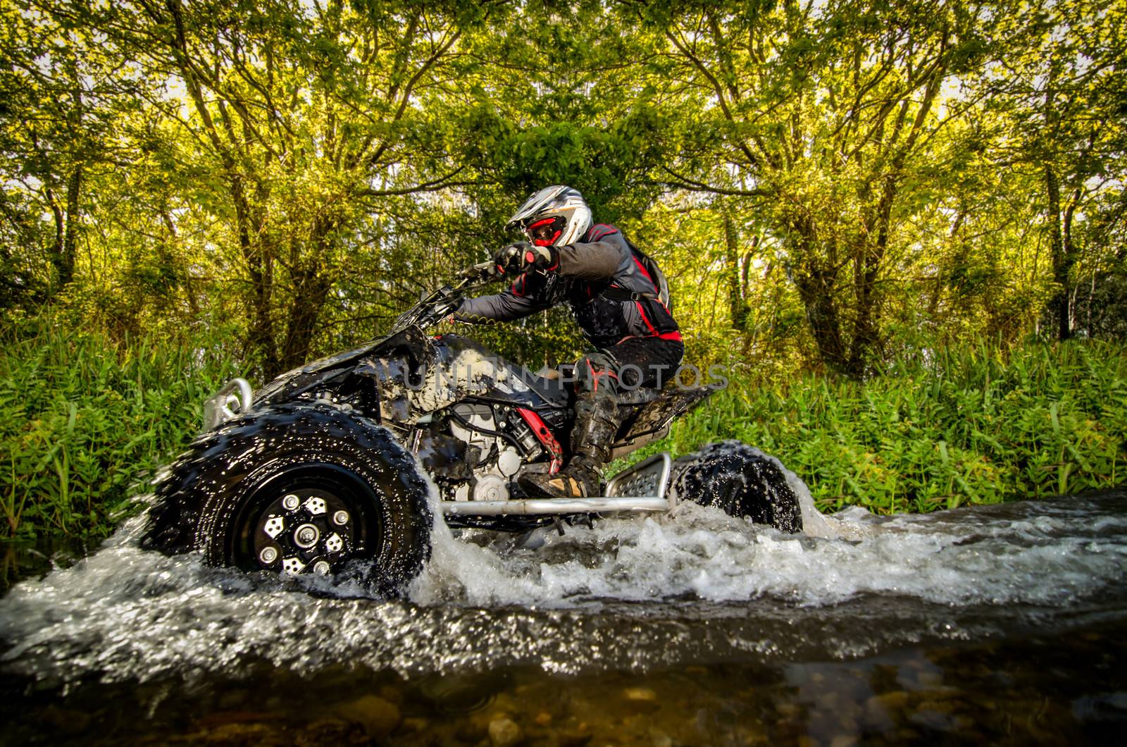 Quad rider through water stream in the forest.