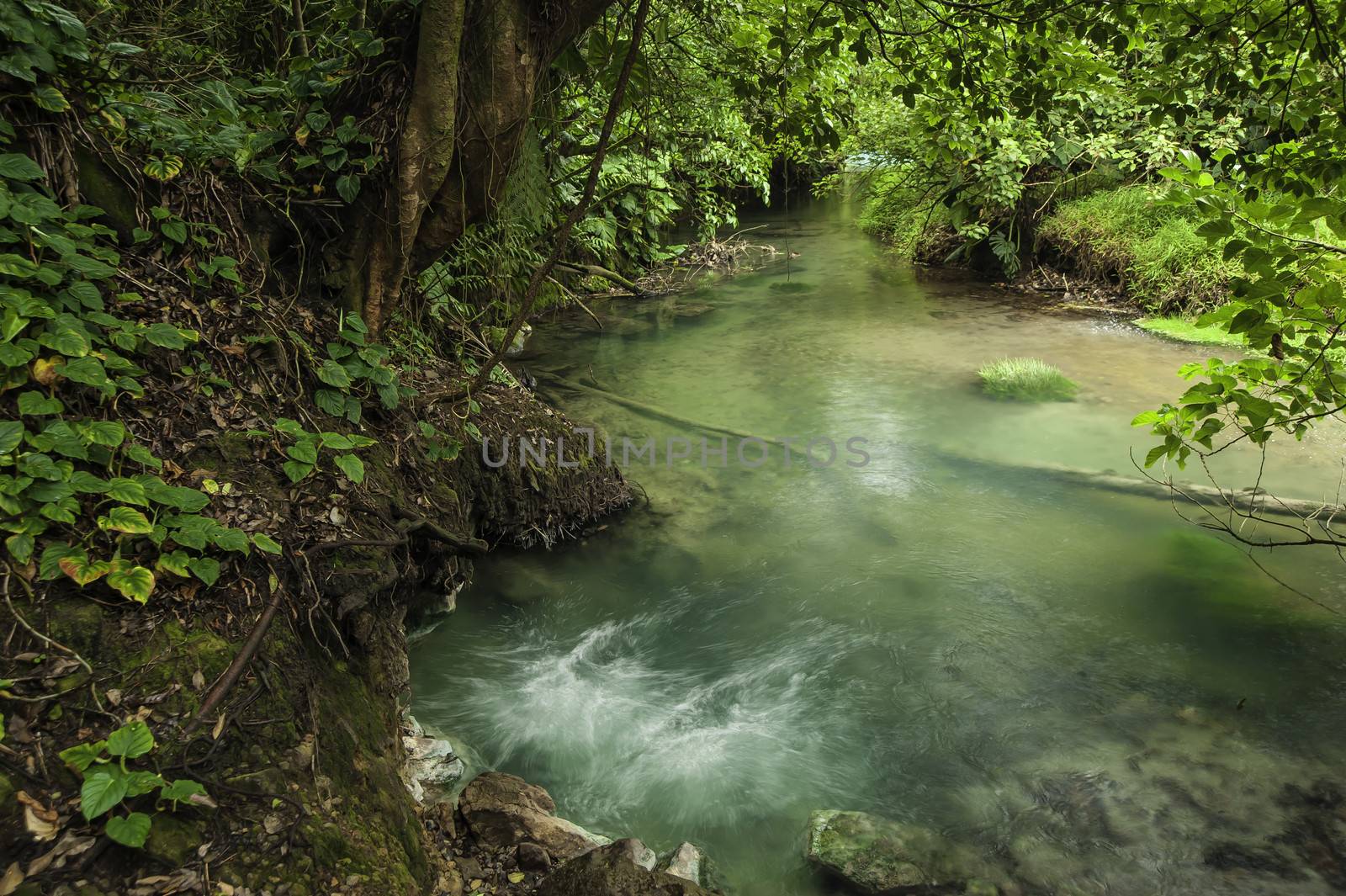 Borbollone or bubbling hot spring in the rio Celeste in Costa Rica.