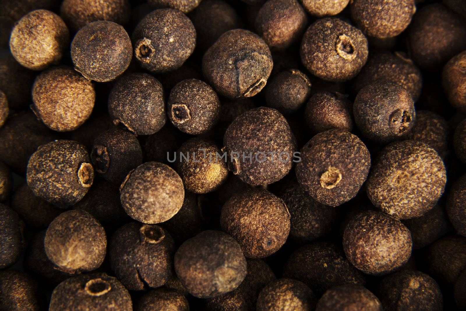 Allspice by BDS
