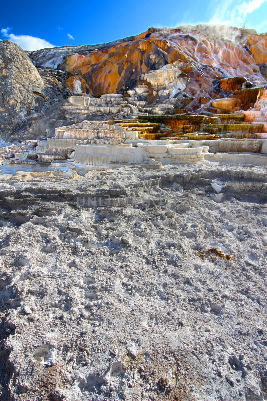 Mammoth Hot Springs Yellowstone by Wirepec