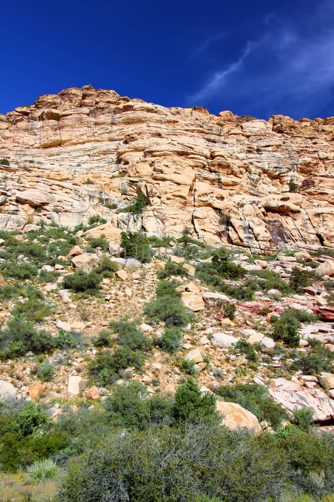 Red Rock Canyon National Conservation Area by Wirepec