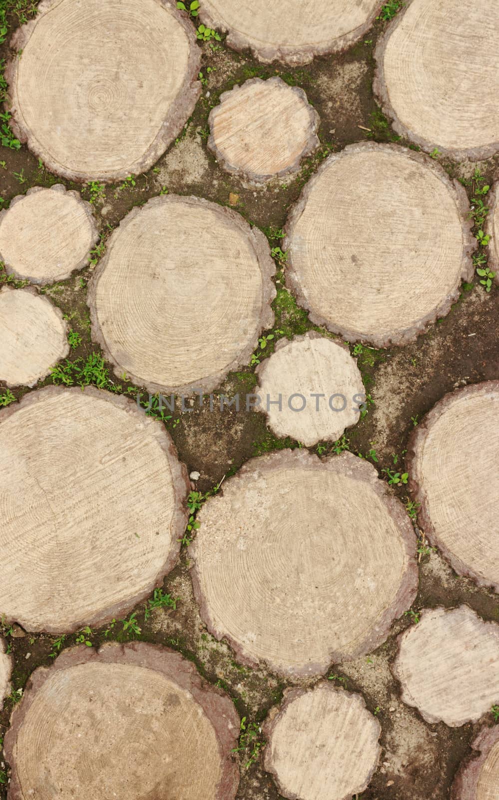 The wooden footpath in the Museum of Wooden Masterpieces in Suzdal, Russia