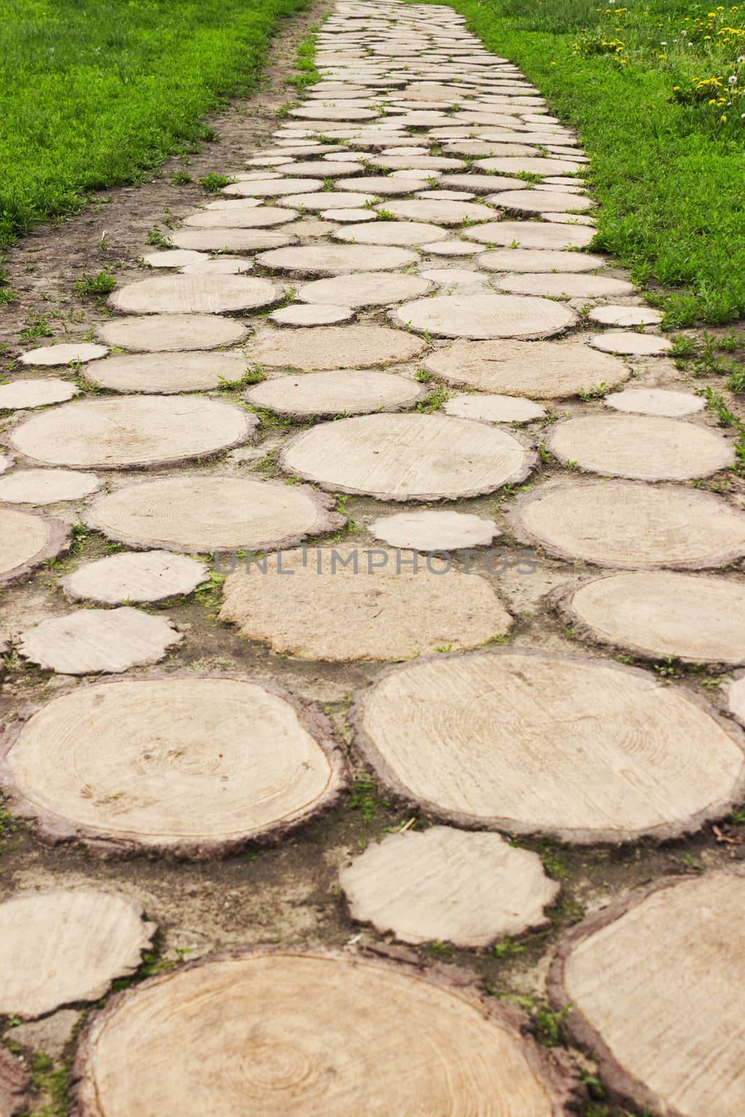 The wooden footpath in the Museum of Wooden Masterpieces in Suzdal, Russia