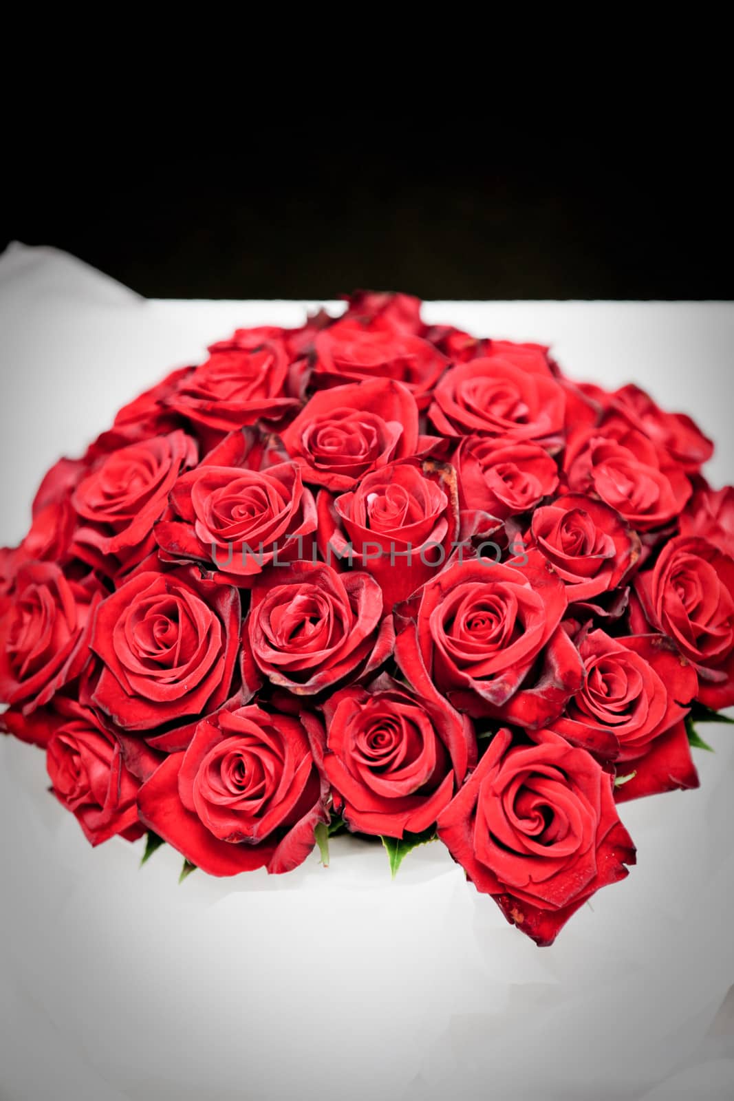 Beautiful circular bridal bouquet of fresh perfect red roses , closeup view with copyspace