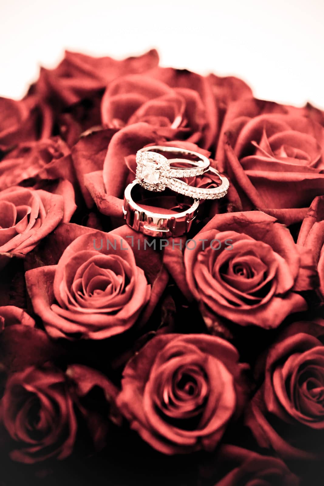 Wedding rings on a bouquet of roses by jrstock