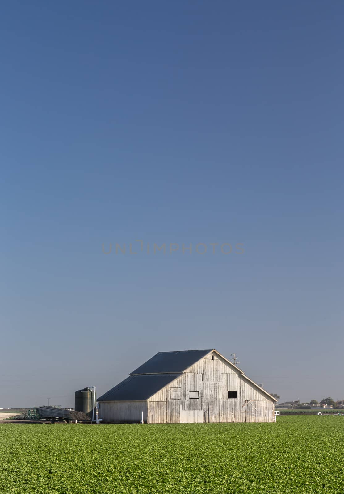 White Barn in Early Morning Light in Salinas Valley