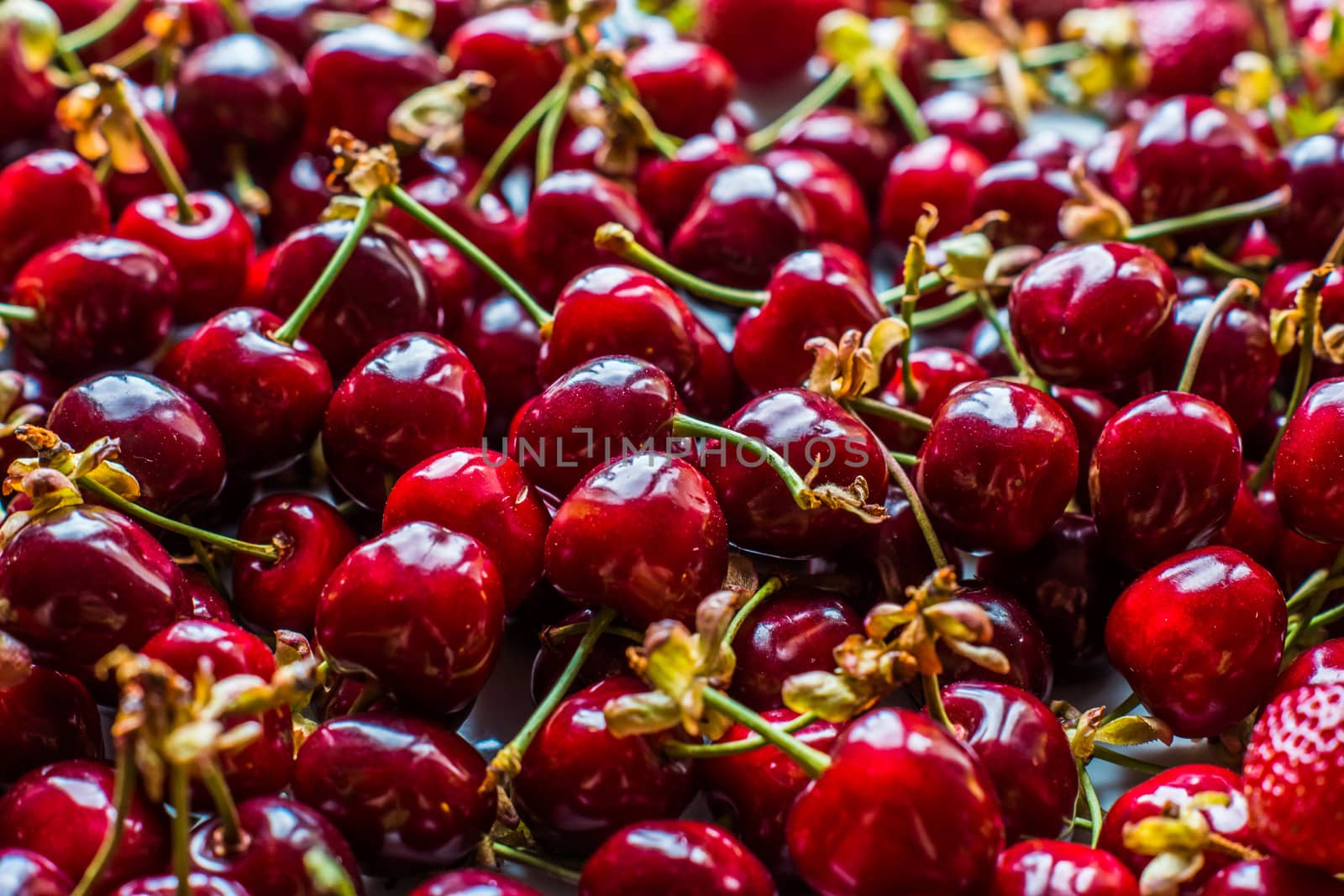 red cherries by natochka