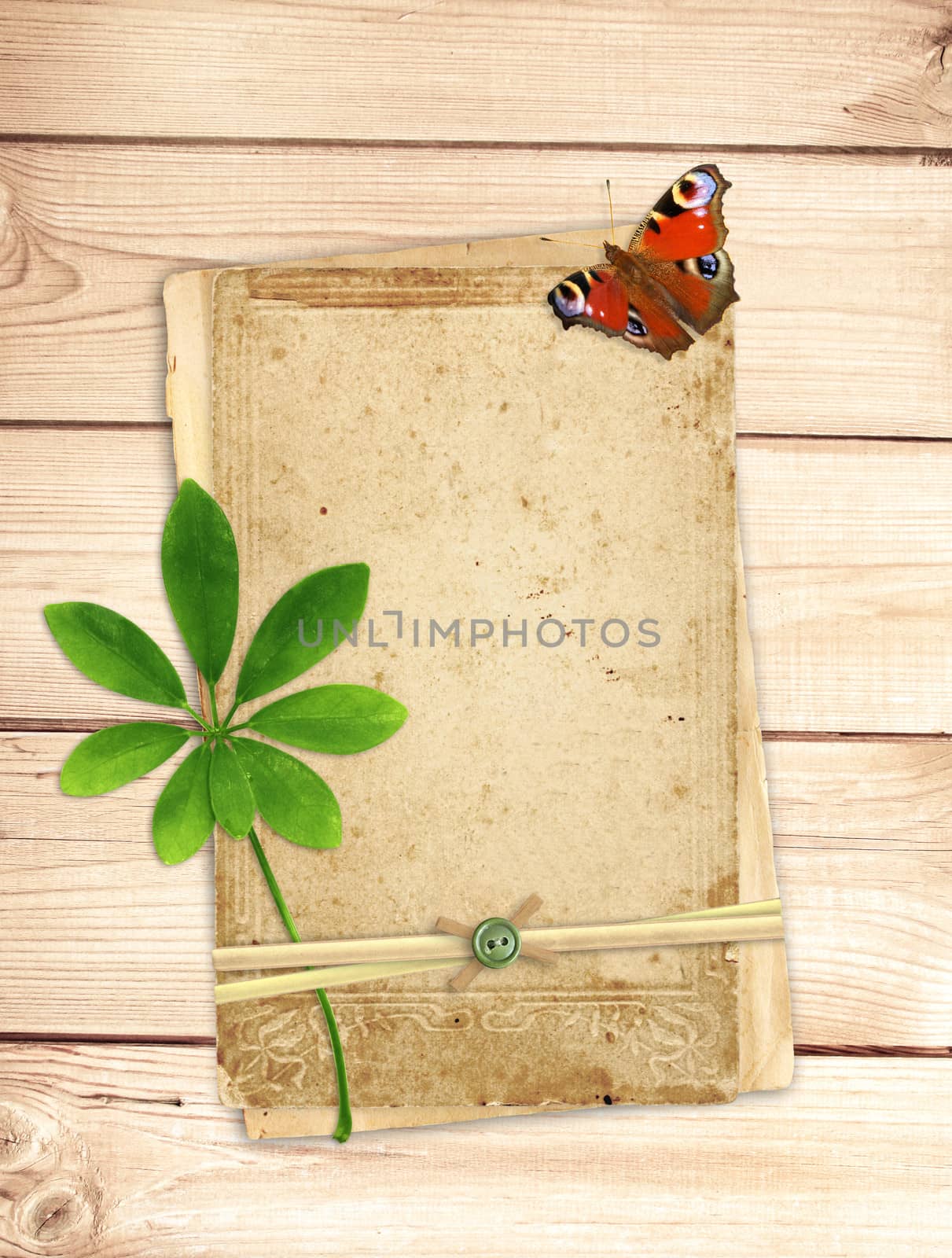 Old cards, green leaf and butterfly on wooden planks