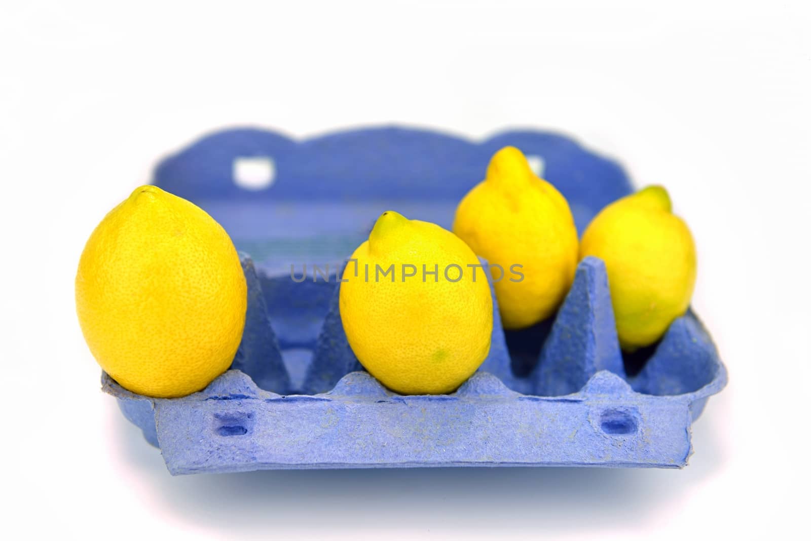 Lemons in the egg carton isolated over a white background
